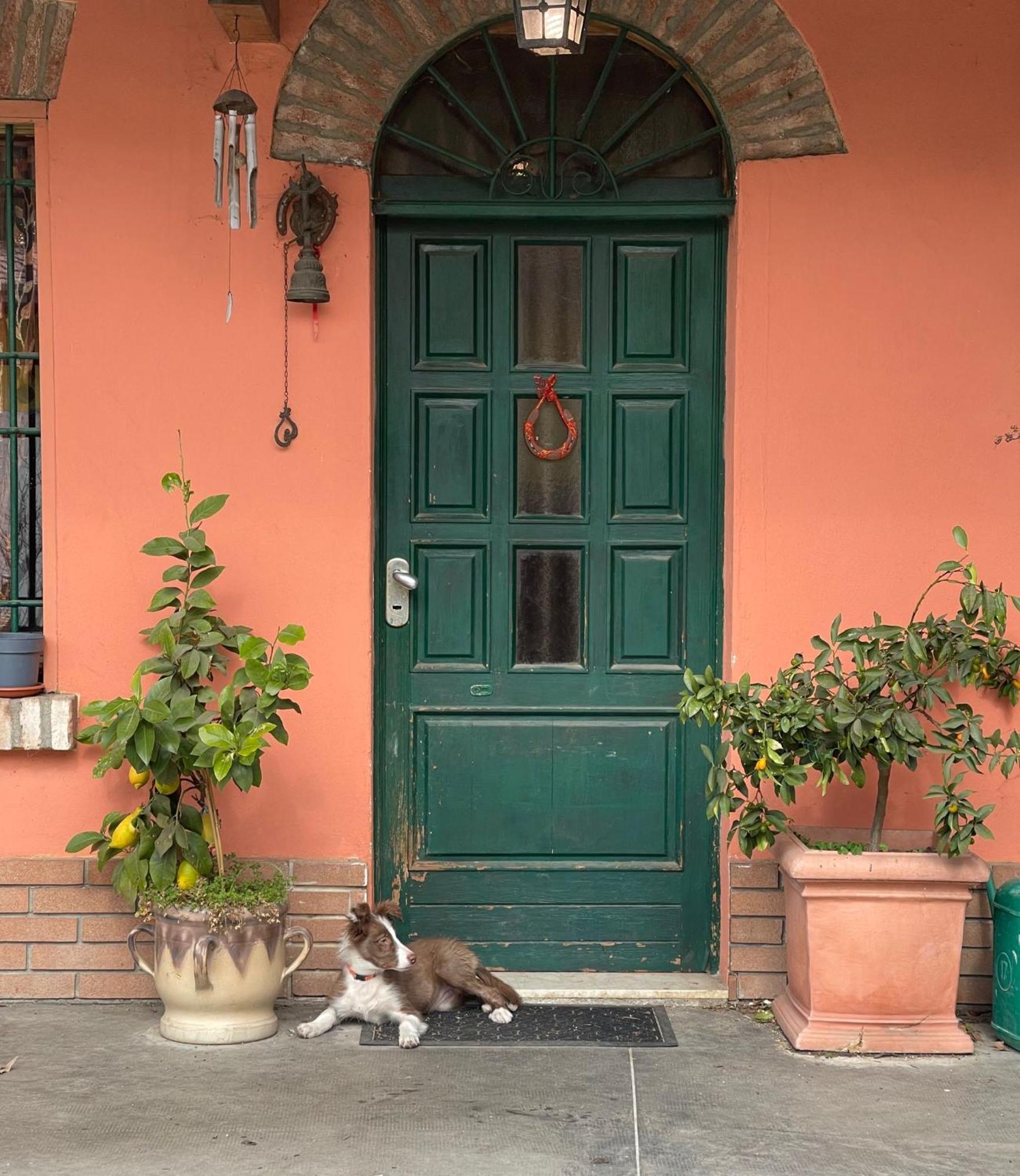 B&B La Cascina Di Alice Castiglione Delle Stiviere Exterior foto